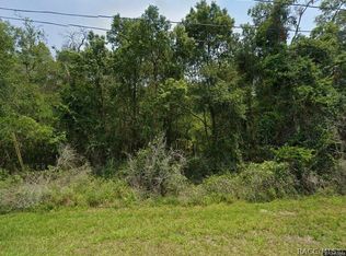 5959 E Willow St, Inverness, FL 34452