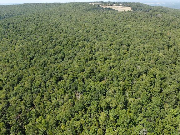 3rd image of 1202 Liberty Rd