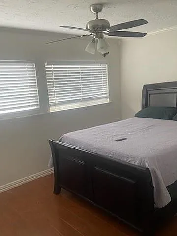 3538 Palm Grove Dr — Photo 8