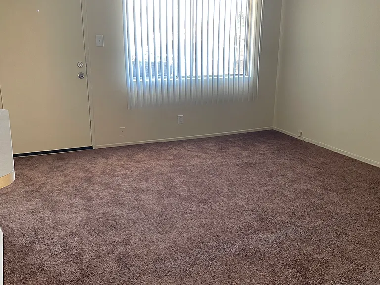 10001 Ramona St — Photo 8