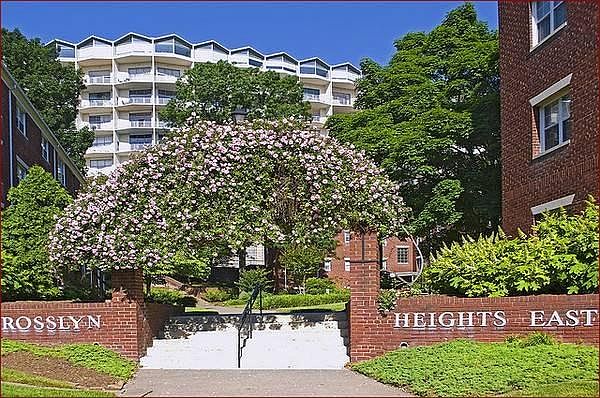 Rosslyn Heights East Building Complex