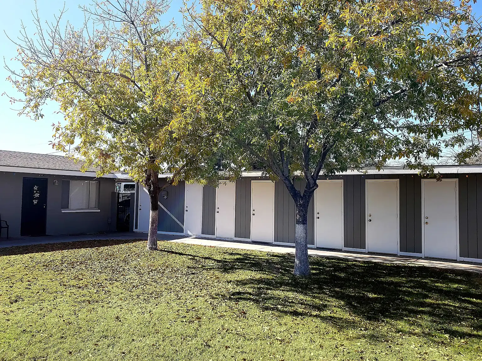 Pinefield — Photo 4