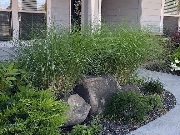 Sidewalk entry