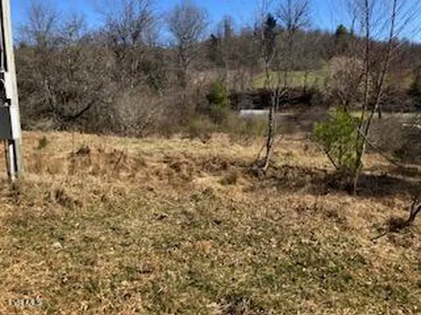 4410 Elk Horn Rd, Woodlawn, VA 24381