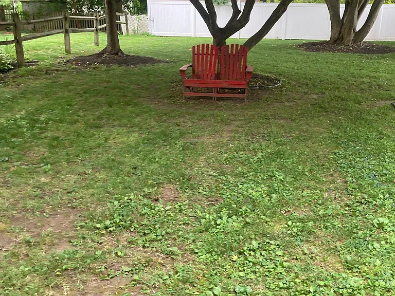 200 Elmwood Ave #1 — Photo 9