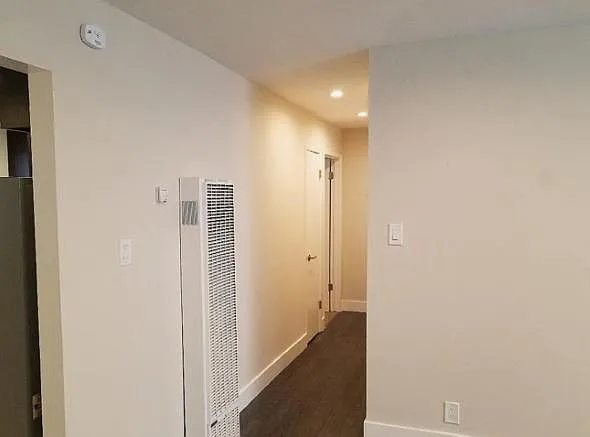 203 Shepherd Ave #1 — Photo 7