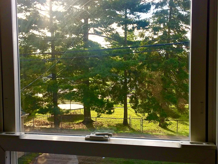 View of backyard.