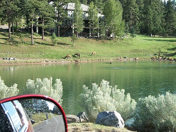 RIVA CHASE POND