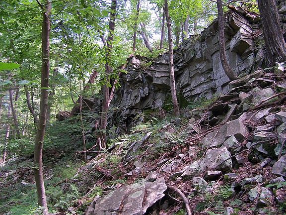 4th image of 130 Loughran Lane