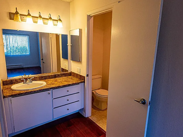 The Chestnut 2+2 en suite bath