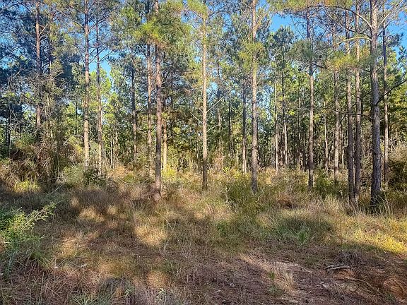 Compass South Land Sales Louisiana Old River Road 1