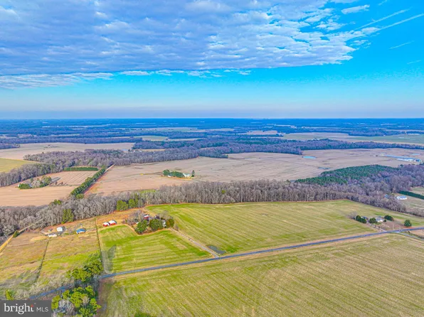 25766 Beauchamp Branch Rd, Denton, MD 21629