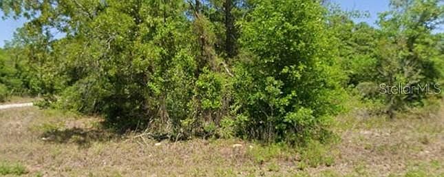 1st image of 21943 RAINBOW LAKES BOULEVARD LOT 35