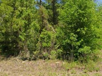 21943 RAINBOW LAKES BOULEVARD LOT 35, Dunnellon, FL, 34431