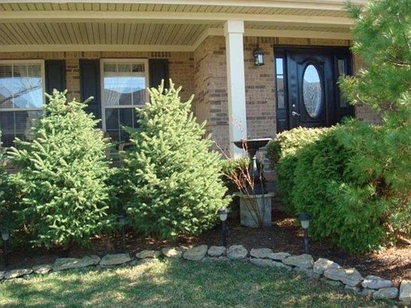 4th image of 316 Richardson Pl