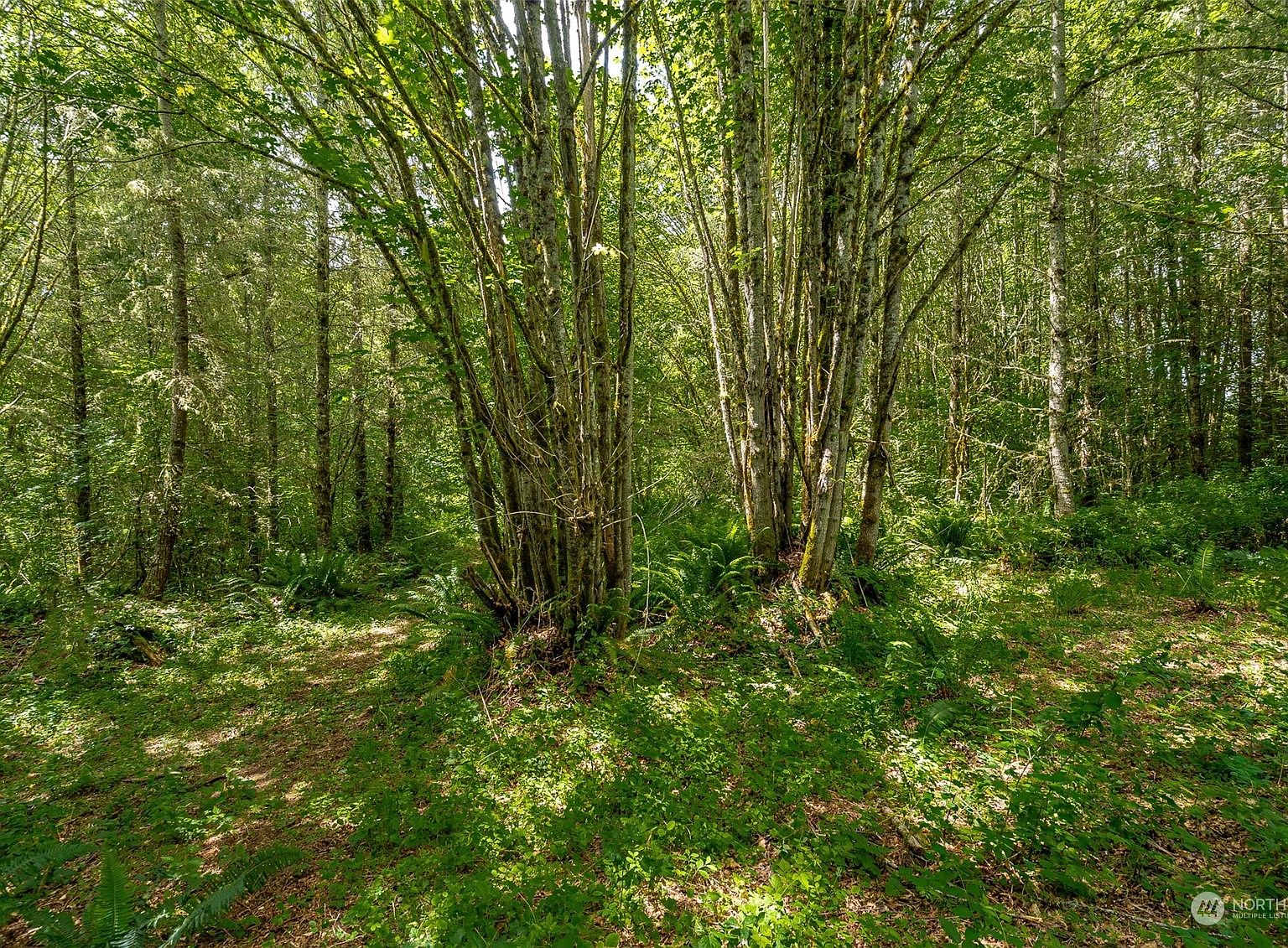 149 Peterson Road, Chehalis, WA 98532 MLS 2134251 Zillow