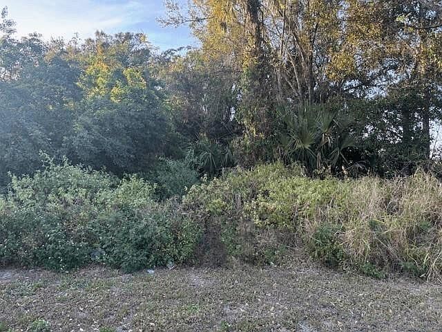 2nd image of 0 NE 13th Avenue