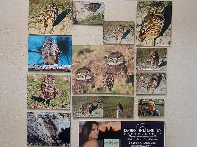 7430 Lake Breeze Dr — Photo 4