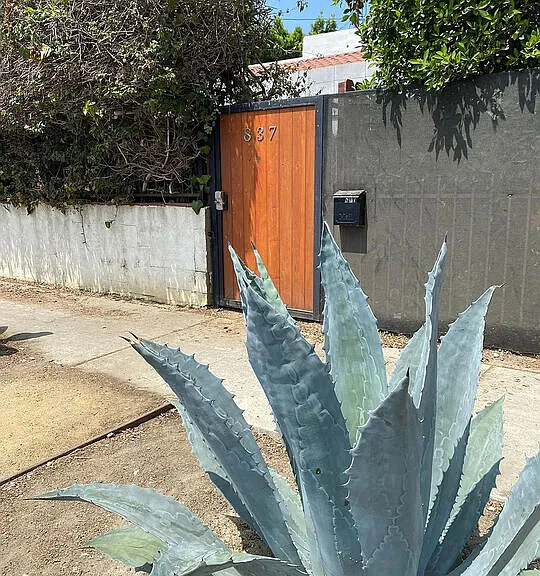 837 Sunset Ave — Photo 5