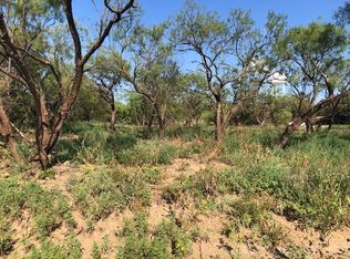 5 Griffin Cir, Albany, TX 76430