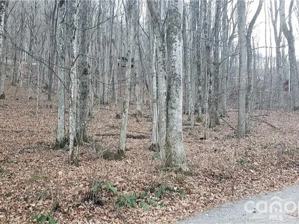 36 Miner Rd, Waynesville, NC 28785