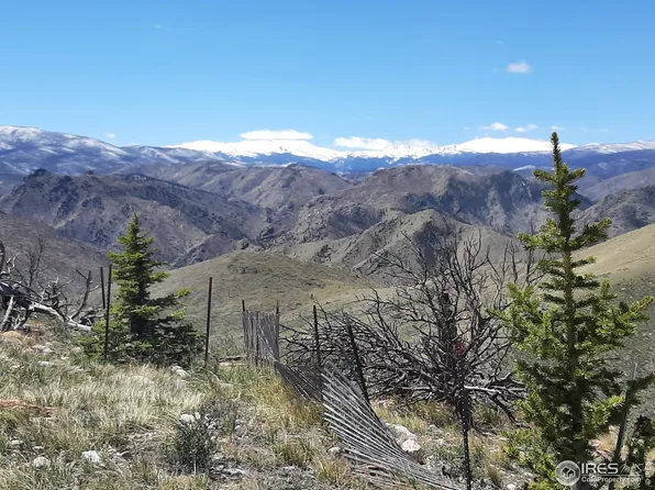 577 Turkey Roost Dr, Livermore, CO 80536