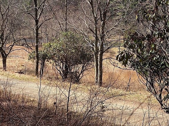 3rd image of TBD Starmount Lane