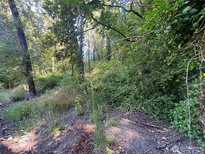 4th image of 0 Allen Drive