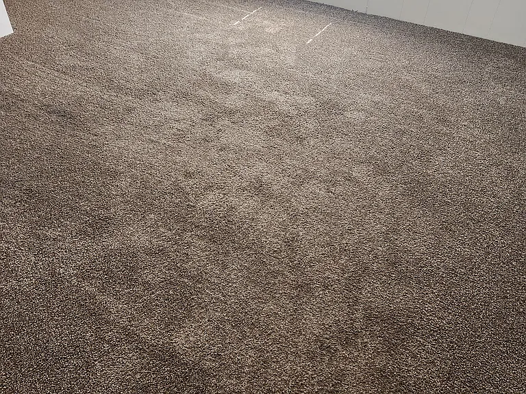 134 Grace Park — Photo 16