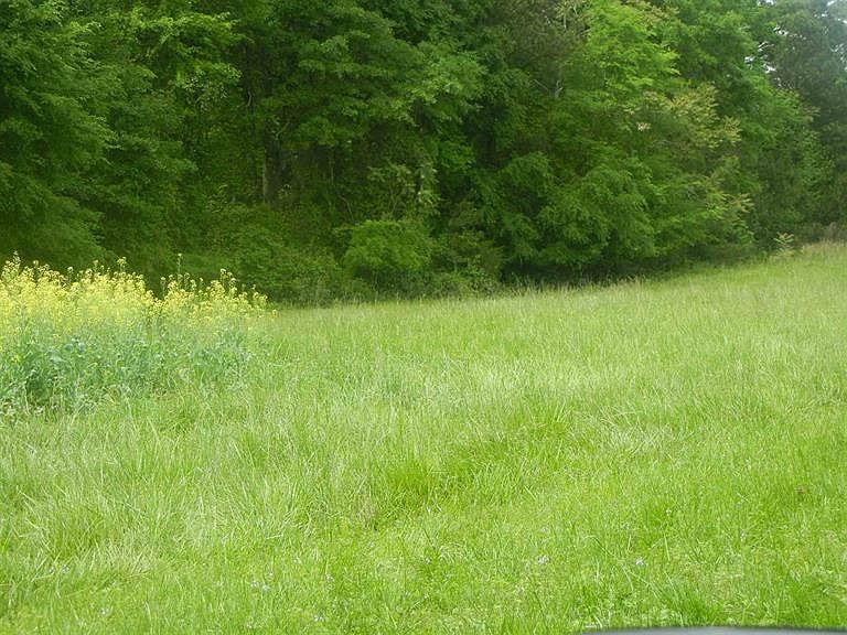 1st image of 0 Oconee Springs Rd #133