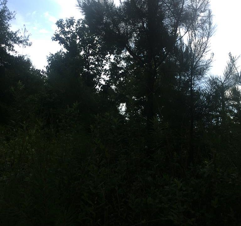 2nd image of 1492 Halls Chapel Rd