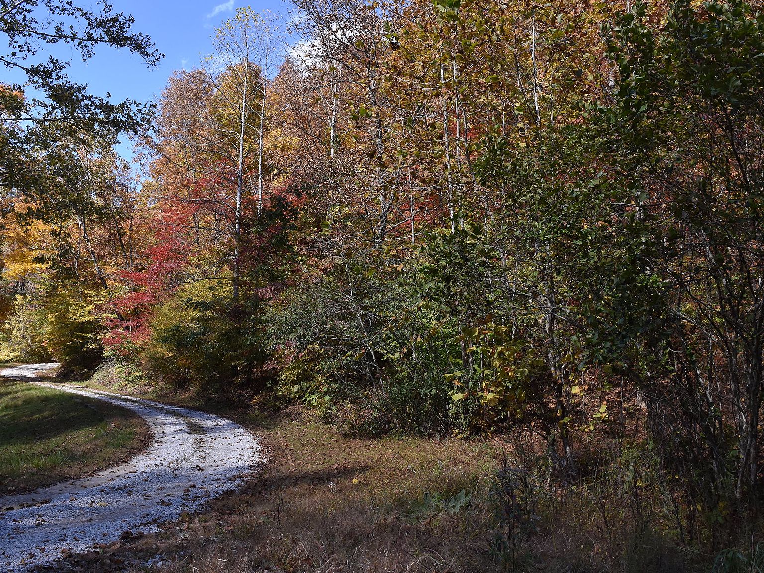 Tunnel Branch Rd LOT WP001, Argillite, KY 41121 Zillow