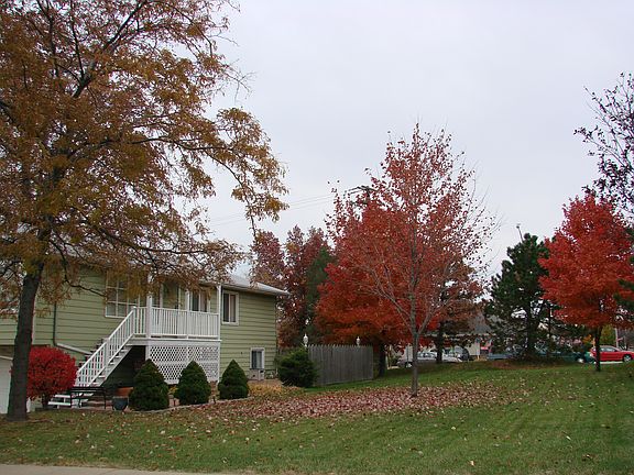 Beautiful shrubbery in fall
