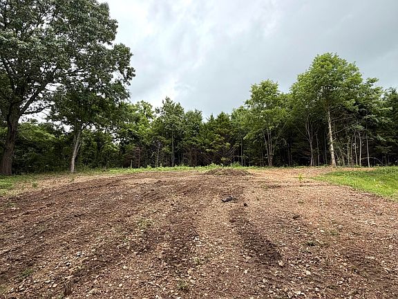 4th image of Lot 12 Hanging Branch