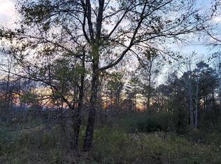 Oscar Bradford Rd, Warrior, AL 35180