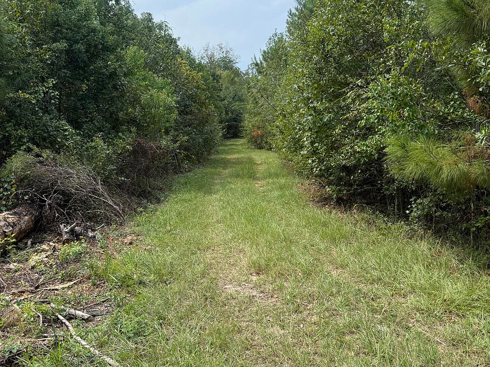 2nd image of Tbd Scallon Rd