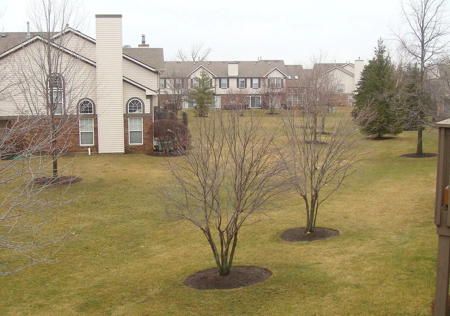 2 bed, 1300 sqft, $2,500 — Photo 4
