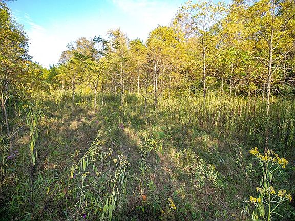 5th image of Whiskey Run Rd