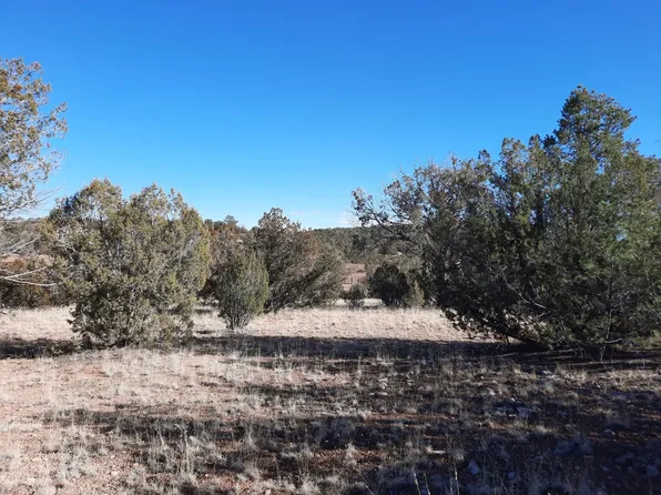 52629 N Conquistador Pkwy, Seligman, AZ 86337