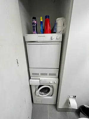 Rented by Mayell LLC | media 17