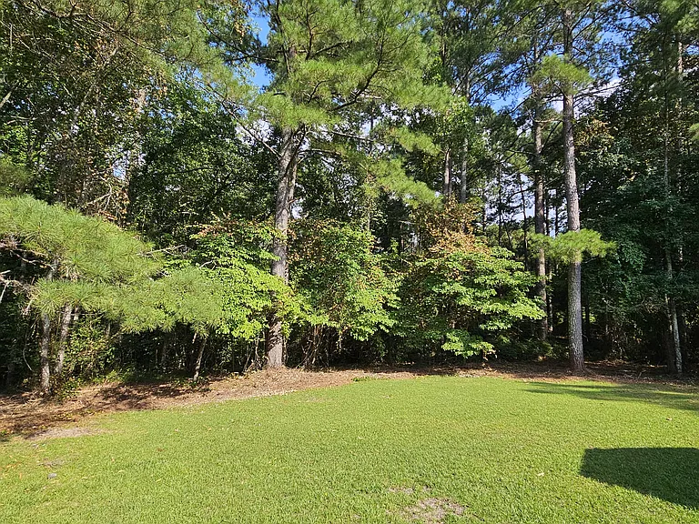 217 Pinebluff Cemetery Rd #2 — Photo 19