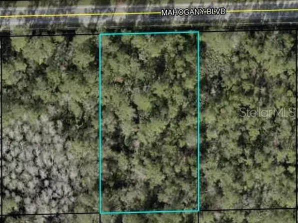 5845 Mahogany Blvd #4, Bunnell, FL 32110