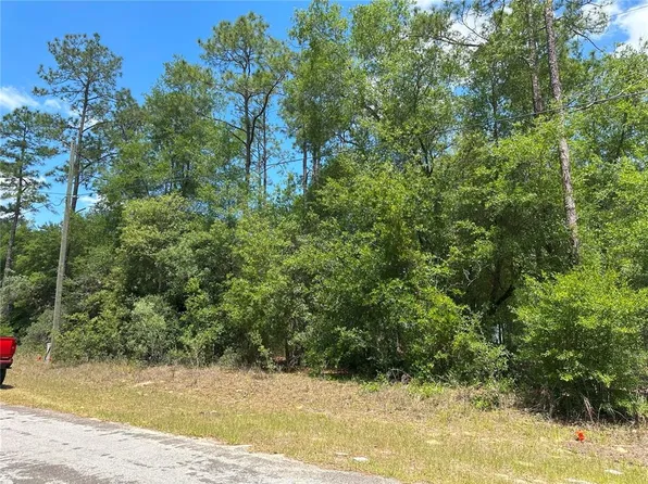 1571 W Alexander Dr Lot 13, Dunnellon, FL 34434