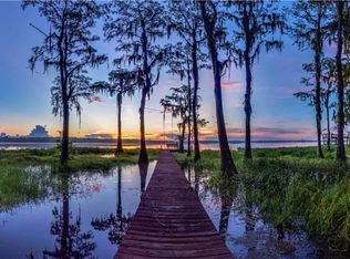 10412 Shadow Oak Trl, Clermont, FL 34711