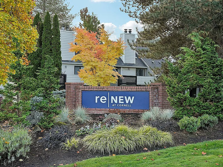 ReNew at Cornell — Photo 47