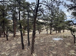 203 Loft Way, Hartsel, CO 80449