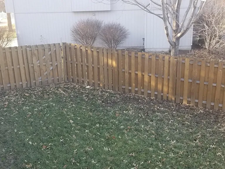 Backyard #3.