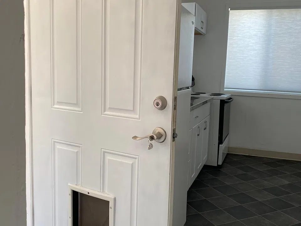 Entry/Dog Door
