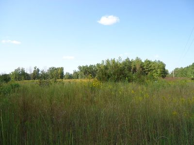 0 Old Stage Rd, Lawrenceville, VA, 23868