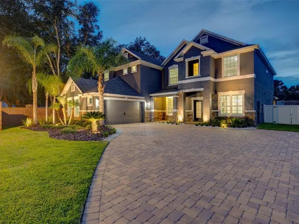 1229 Hillandale Reserve Dr, Tampa, FL 33613